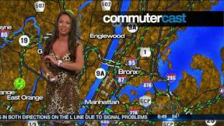 JILL NICOLINI WEARING LORD amp TAYLOR NANETTE LEPORE LEOPARD PRINT DRESS 7610 [upl. by Jabe]