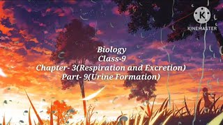 Class9BiologyChapter 3Part9Urine Formation [upl. by Enidaj]