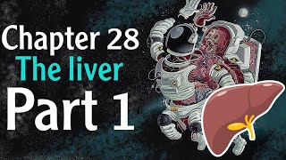 Physiology chapter 28 The Liver part 1  فسلجة وزاري [upl. by Bugbee]