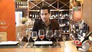 Videoaula  Degustação de Vinhos [upl. by Ellinehc125]