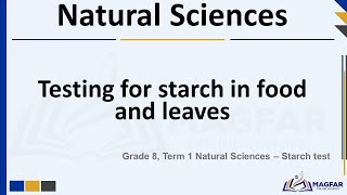 Grade 8 Term1 Natural Sciences The Starch Test [upl. by Eigroeg701]