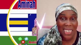 Aminah jagne on the case of jarra amp neneh jallow of sweden [upl. by Adyahs]