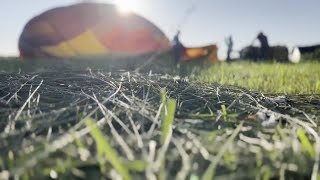 Big Sky Balloon Rally in Billings this weekend Public invited to volunteer for balloon pilots [upl. by Ultan173]