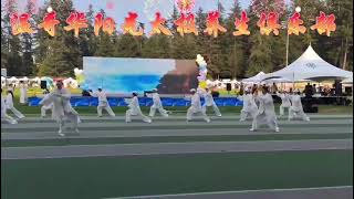 Taichi performance at the Water Splashing Festival [upl. by Einamrej43]