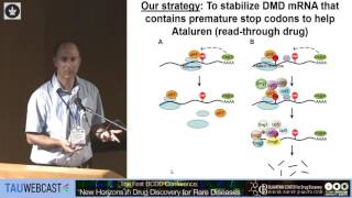 Inhibition of nonsense mediated mRNA decay to improve stop codon readthrough therapy [upl. by Alcina808]