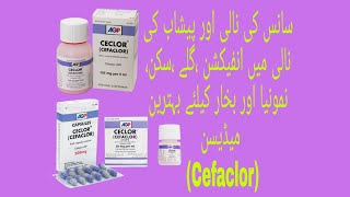 Ceclor TabletampSyrupampDrops CefaclorUses Benefits ampSideeffect in UrduHindi  How to use Cefaclor [upl. by Oirevlis]