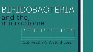 Bifidobacteria  Role in Gut Health  Weight Loss [upl. by Sanyu]