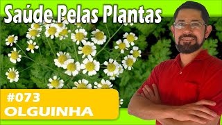 Saúde Pelas Plantas  Olguinha enxaqueca gastrite reumatismo artrite alergias [upl. by Lear165]