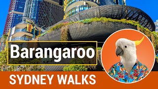 BARANGAROO Sydney 2020  Sydneys harbour foreshore playground [upl. by Traggat]