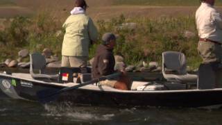 Fly fishing for trout with the Stonefly Inn [upl. by Enirroc]