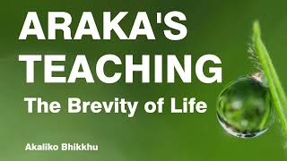 Akaliko Bhikkhu Arakas Teaching on the Brevity of Life [upl. by Reggis]