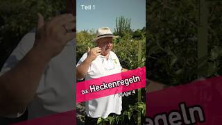 Die Heckenregeln Teil 1  Kleingartensheriff [upl. by Nottirb607]