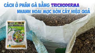 Cách ủ phân gà bằng Trichoderma nhanh hoai mục bón cây hiệu quả [upl. by Weston873]