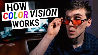 How COLOR VISION Works Types of Color Blindness Genetics amp Disease [upl. by Rratsal424]