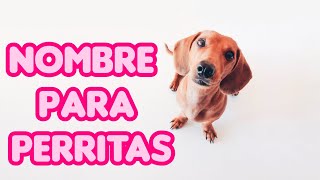 LOS MEJORES NOMBRES PARA PERRITAS 🐾❤ [upl. by Vance]