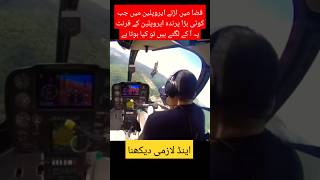 Plane and bird in midairyoutubeshorts trendingshort viralvideo shortsfeed military [upl. by Ainala]