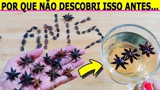 Bebi CHÁ DE ESTRELA DE ANIS e 10 Minutos Depois Estou CHOCADA Com o Que Aconteceu  RECEITA NATURAL [upl. by Xanthus]