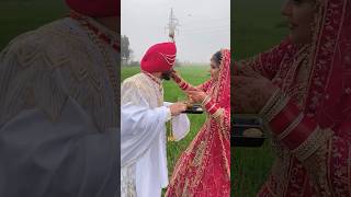 Tenu Hor Koi Na Dekhe😝😝😝❣️❣️❣️😍😍😍 punjab love couplegoals pindawale gurnambhullar viralshort [upl. by Rotkiv]