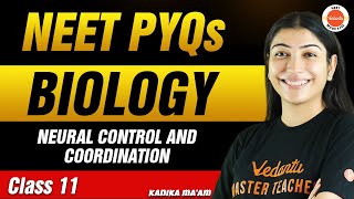 NEET PYQs for Neural Control and Coordination  Class 11 Biology  NEET 2024 [upl. by Lemraj]