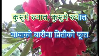 Kusume Rumal Karaoke कुसुमे रुमाल with lyrics [upl. by Sherborn514]