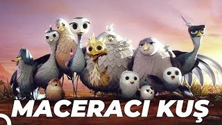 Maceracı Kuş Yellowbird Animasyon Filmi  Full Film İzle [upl. by Hamburger187]