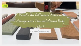 Whats the Difference Between Homogeneous Tiles and Normal Body Tiles [upl. by Adriena]