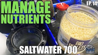 MANAGING Nutrients Nitrates Phosphates In Your Tank For The LongTerm  Saltwater 700 [upl. by Erlina]