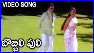 Bobbili Puli  Super Hit Video Song  NTR Sridevi [upl. by Einaej912]