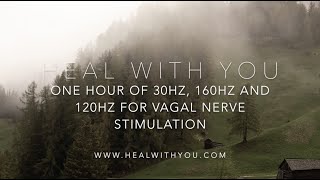 One Hour Solfeggio Frequencies For Vagal Nerve Stimulation  30Hz 160Hz and 120Hz [upl. by Doone199]