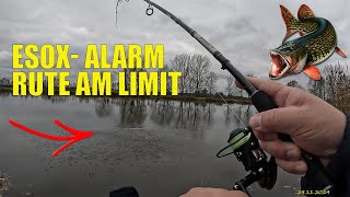 Esox Alarm  Rute am Limit  geht die Sache gut aus [upl. by Emad]