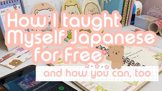 Basic Guide to Japanese SelfStudy Tips  Resources [upl. by Duahsar]