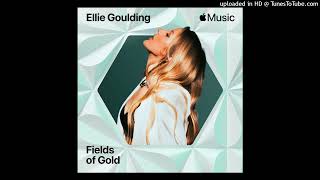 Ellie Goulding  Fields Of Gold Studio Acapella WAV [upl. by Nimzay]