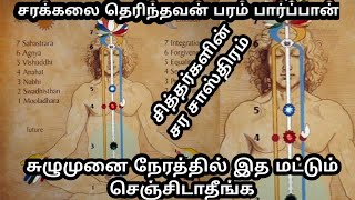 சுழுமுனை சித்தர்களின் சரசாஸ்திர சுழுமுனை அறிந்தவன் உலகையே பார்ப்பான்VinodhanTamil சித்தர்yogi [upl. by Jacklin]