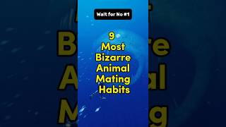 9 most bizarre animal mating habits animallover [upl. by Orelie44]