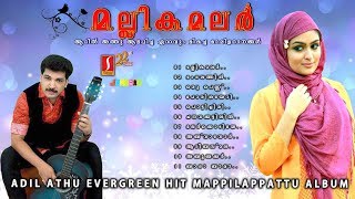 Mallika malar Athil Athu Hits Romantic Mappilapattu album ഹിറ്റ് മാപ്പിളപ്പാട്ടുകൾ [upl. by Elrak169]