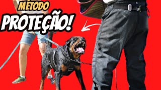 COMO TREINAR UM ROTTWEILER  COMO TREINAR UM ROTTWEILER PARA GUARDA [upl. by Ahsinra]