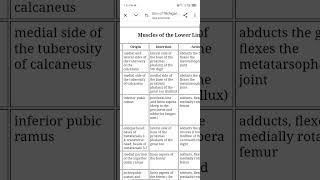 ALL MUSCLES OF LOWER LIMB ALONG WITH ITS ORIGIN  INSERTION  FUNCTION  ETC MBBS 1ST YEAR notes [upl. by Bahe]