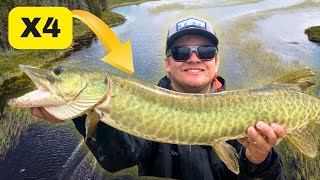 Minnesota Muskie Fishing Tips for Number lakes 4 Fish Day [upl. by Lombardo937]