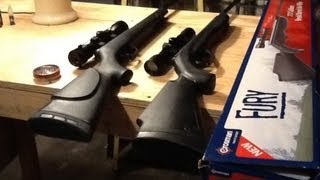 Gamo vs Fury Review [upl. by Kus]