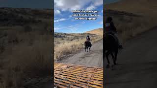 funny horse jumpinghorse cows proffesional coldweather doublelife [upl. by Einehpets]