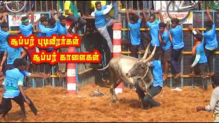 சூப்பர் புடிவீரர்கள் சூப்பர் காளைகள் best jallikattu videos [upl. by Arnoldo]