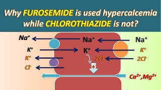 Why Furosemide is used in hypercalcemia while Chlorothiazide is not [upl. by Rehpotsirhk]