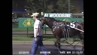 2001 Woodbine WORLDLY BEAUTY Luc Ouellette Breeders Crown Elimination [upl. by Yarased752]