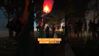 Sky Lantern Gets Stuck On a Tree diwalifestival diwali diwalicelebration dipawali diwali2024 [upl. by Yllim]