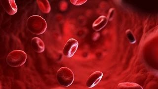 Best Foods to Increase Blood Platelets [upl. by Erikson891]