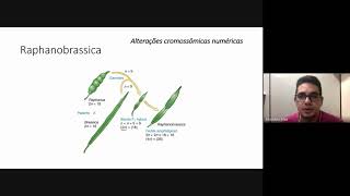 Aula 10 Alterações cromossômicas numéricas [upl. by Conard]