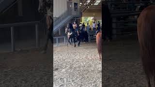 Caballos bailadores en Feria de city of industry [upl. by Aihsekat]