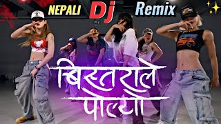 Bistarale Polyo • Shanti Shree Pariyar • Nepali Dj • Hari Giri Bimarshi • Bistarale Polyo Dj [upl. by Sinai]