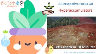 Learn all about Hyperaccumulators and Phytomining in 10 Minutes [upl. by Eeramit801]