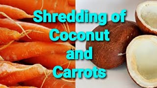 Coconut Scraping and Carrot Shredding with My Morphy Richards Icon Superb Food Processor [upl. by Hagen113]